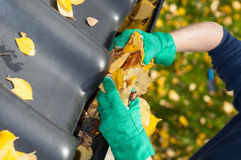 Fall Gutter Preparation