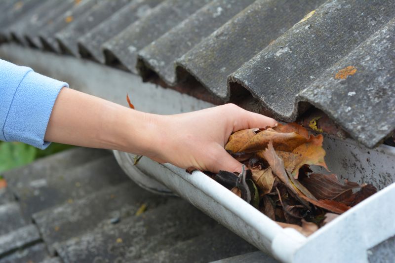 Gutter Cleaning and Maintenance